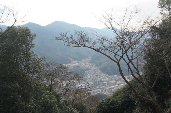蓮華寺山憩の森山頂広場