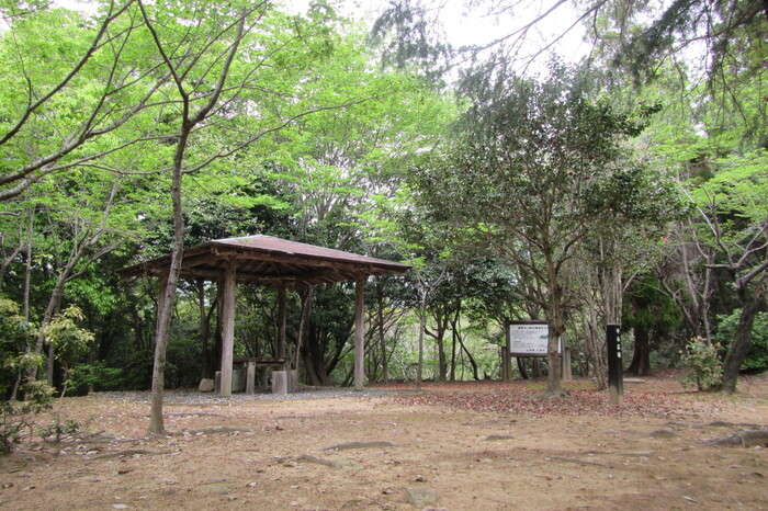 蓮華寺山憩の森中心広場