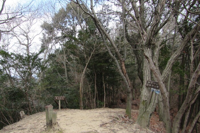 蓮華寺山憩の森遊歩道