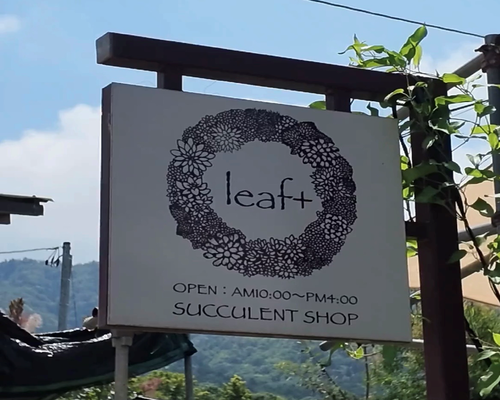 leaf＋txt