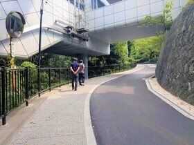 工事後の園路