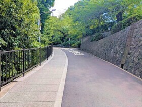 改修後の園路