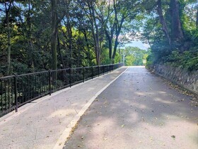 工事後の園路