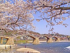 錦帯橋（岩国市）
