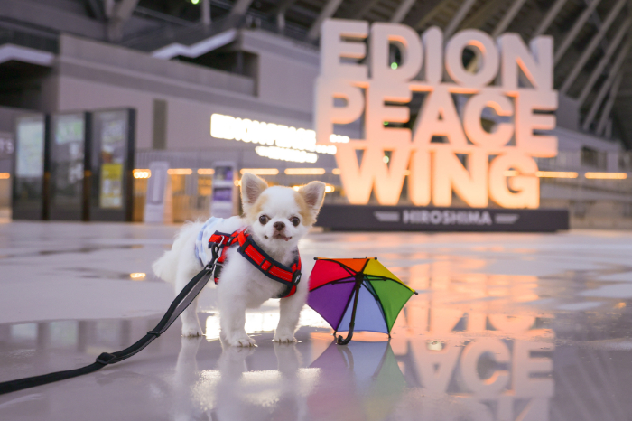 写真：雨上がりのお散歩