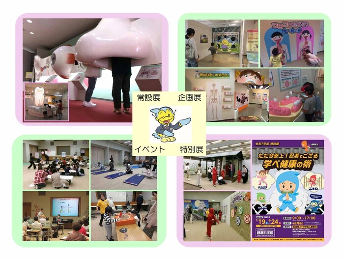 企画展等の画像