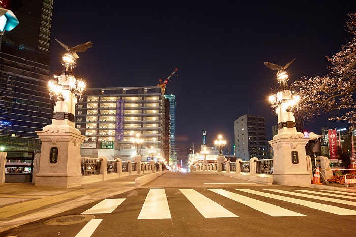 ライトアップされた猿猴橋