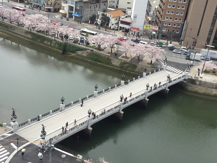 復元された猿猴橋の全景写真
