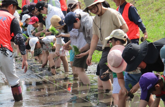 令和7年度　第1回活動の様子