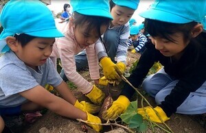 写真：旧国鉄宇品線跡地での農作物の収穫