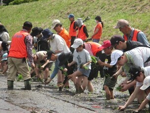 写真：ボランティアによる海外援助米生産事業