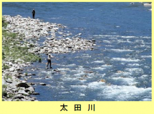写真：太田川