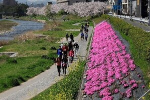 写真：瀬野川河川敷