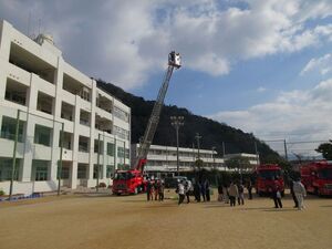 写真：はしご車