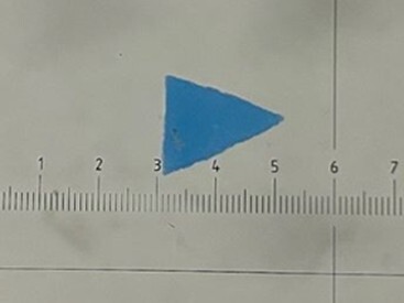 戸坂上水道取水口（太田川）で採取されたマイクロプラスチック