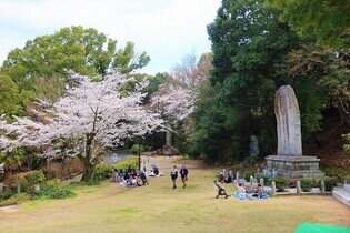 桜の様子