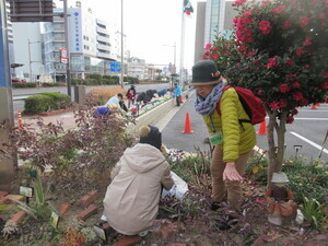 写真：森のガーデン