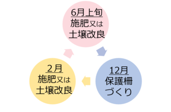 活動イメージ