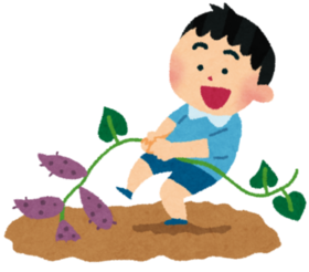 芋掘りのイラスト
