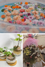 ワークショップ