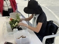 寄せ植え体験写真