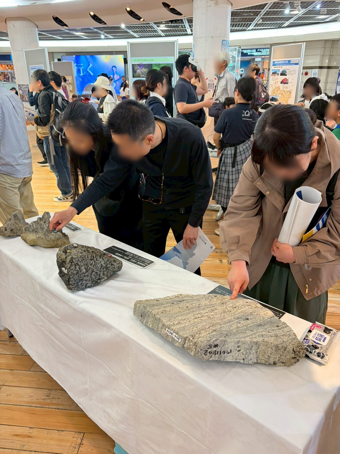南極の岩石