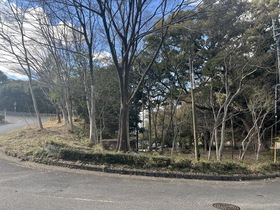 園路沿いの樹林の剪定等