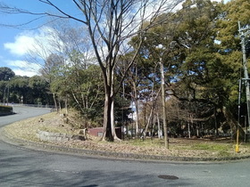 園路沿いの樹林の剪定等