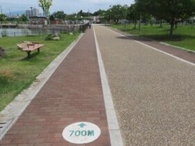 歩車分離のイメージ図