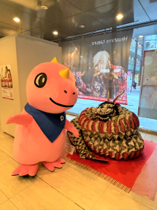 大蛇と写真を撮るあみゴン