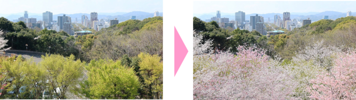 景観づくりのイメージ