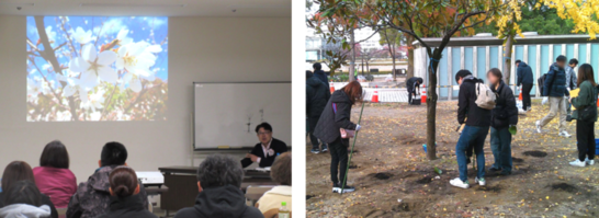 桜守活動の例