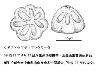 クドア・セプテンプンクタータ