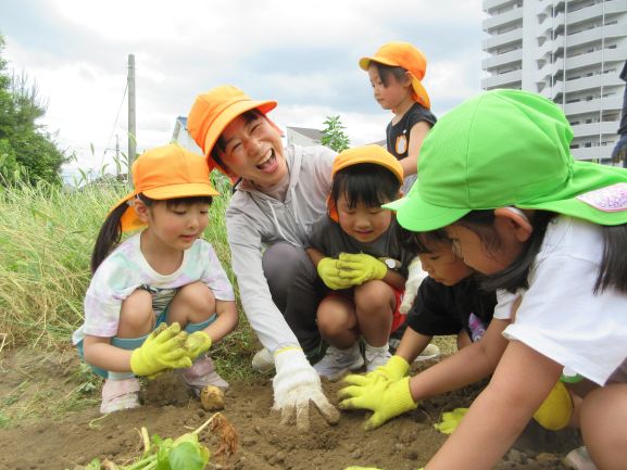 写真:みんなでいもほり