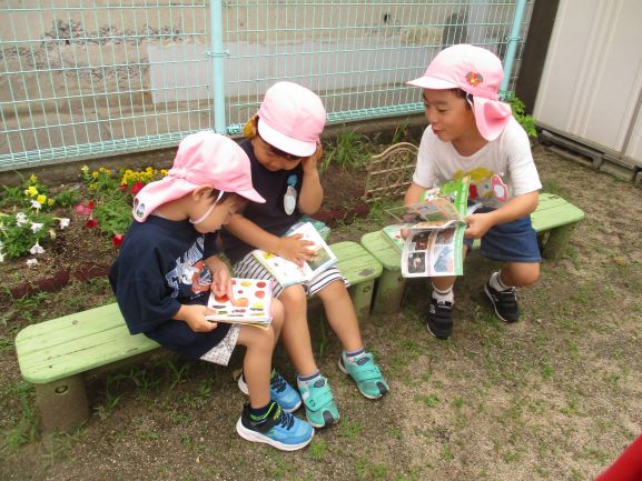写真:虫取り