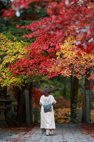 【世羅町】今高野山