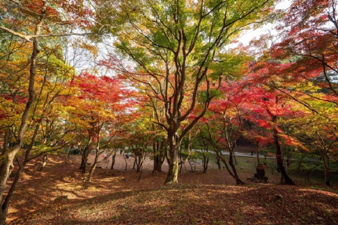 【三次市】尾関山公園