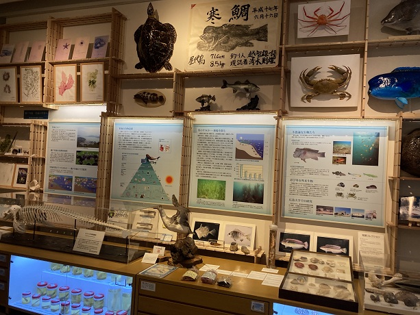 【東広島市】広島大学総合博物館