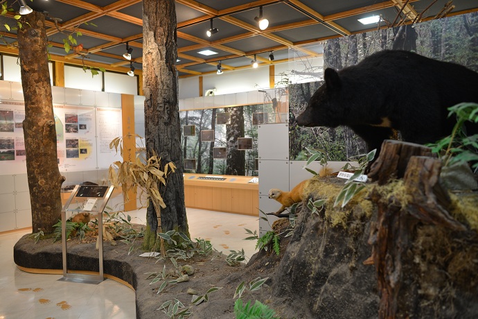 【北広島町】芸北高原の自然館