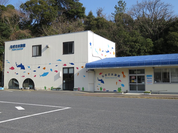 【周防大島町】なぎさ水族館