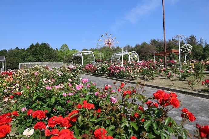 【和木町】蜂ヶ峯総合公園