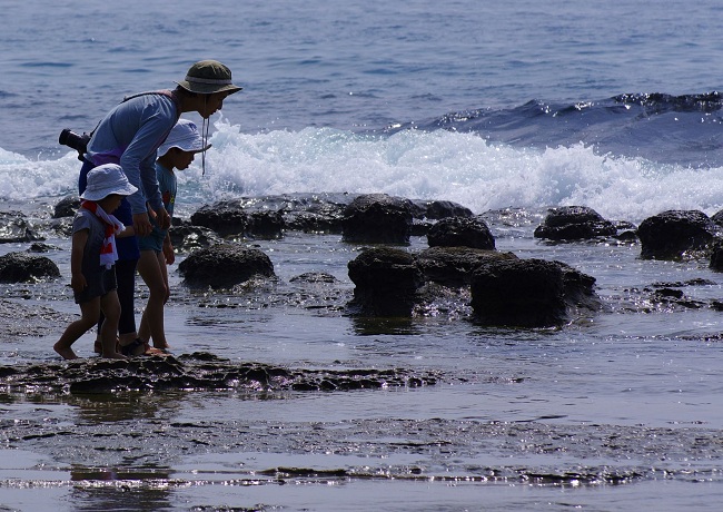 【浜田市】石見畳ヶ浦