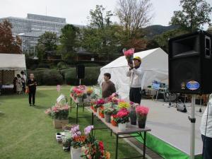 写真:花のセリ市