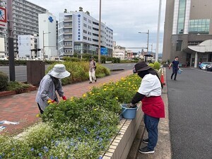 写真：ストリート花壇ボランティア