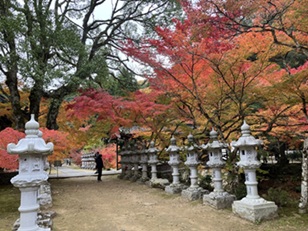 佛通寺