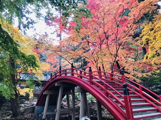今高野山