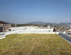 市営若草住宅の屋上緑化