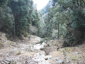 水谷峡の画像