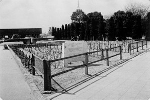 식재 당시의 장미 정원