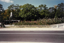 1998년 장미 정원 모습